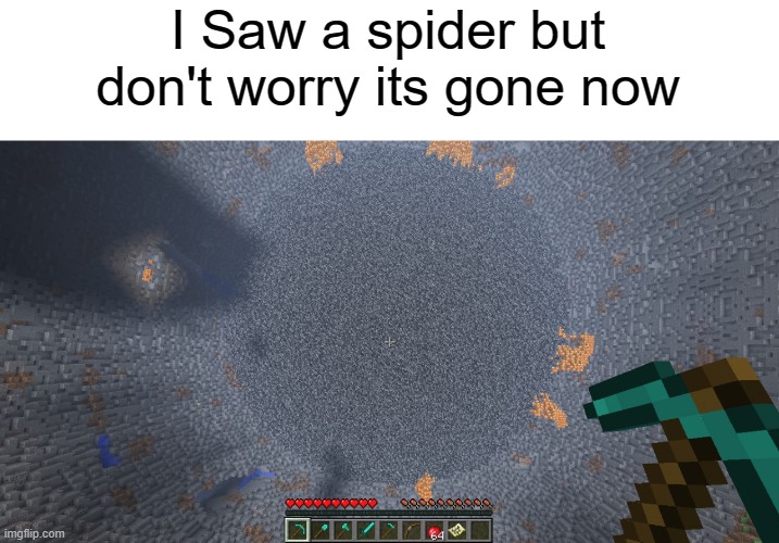 The spider is gone now | I Saw a spider but don't worry its gone now | image tagged in spider,funny | made w/ Imgflip meme maker