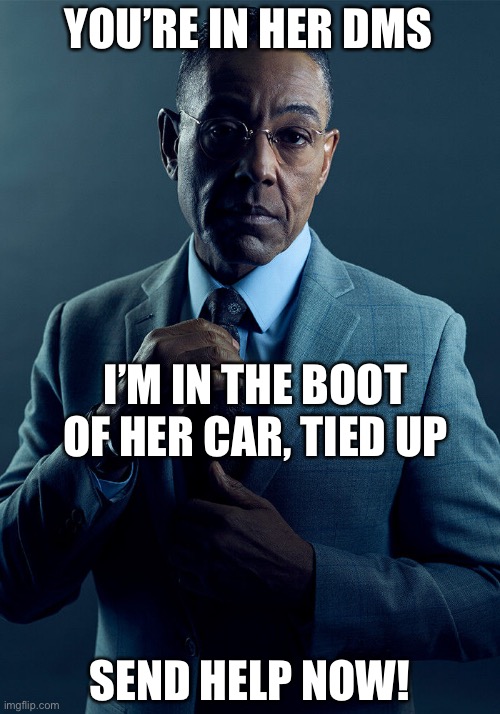 Not the same car | YOU’RE IN HER DMS; I’M IN THE BOOT OF HER CAR, TIED UP; SEND HELP NOW! | image tagged in gus fring we are not the same,cars,driving,dms,private messages,help me | made w/ Imgflip meme maker