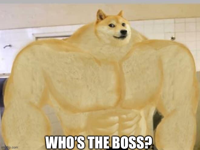 Buff Doge | WHO’S THE BOSS? | image tagged in buff doge | made w/ Imgflip meme maker