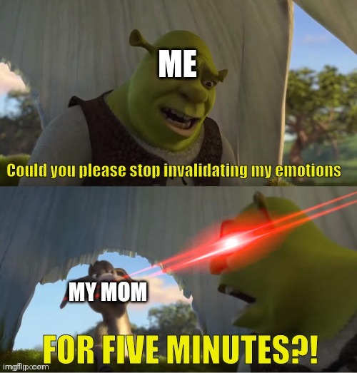 Your feelings are invalid | image tagged in shrek,shrek for five minutes | made w/ Imgflip meme maker