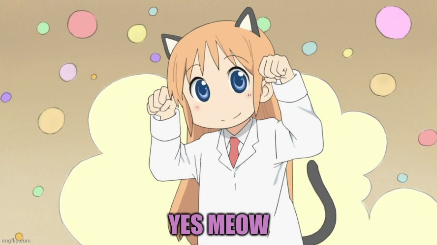 hakase da nya catgirl anime | YES MEOW | image tagged in hakase da nya catgirl anime | made w/ Imgflip meme maker