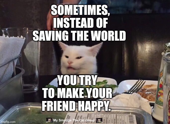 SOMETIMES, INSTEAD OF SAVING THE WORLD; YOU TRY TO MAKE YOUR FRIEND HAPPY. | image tagged in smudge the cat | made w/ Imgflip meme maker