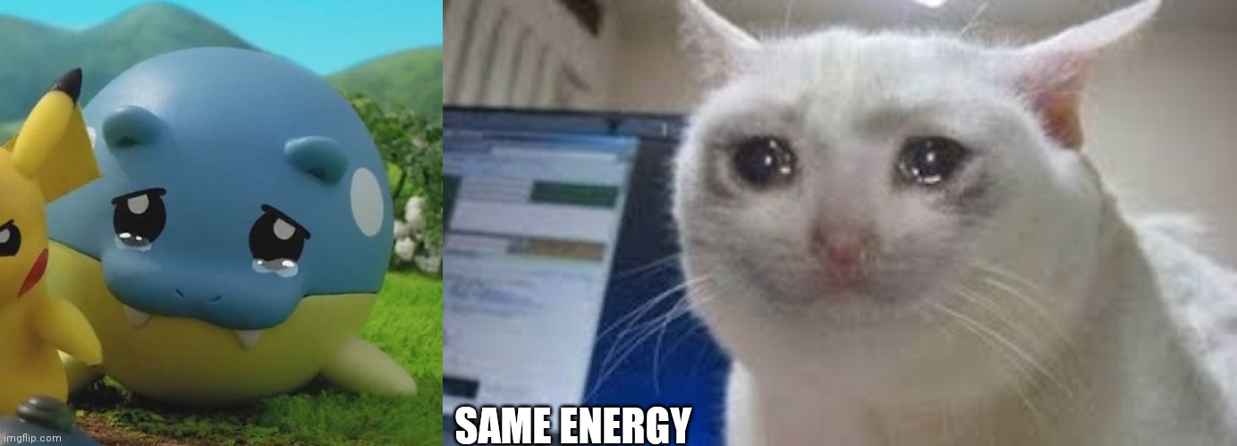 Same energy sad Spheal & Sad Cat Meme | SAME ENERGY | image tagged in sad,pokemon,cat,sad cat,seal | made w/ Imgflip meme maker