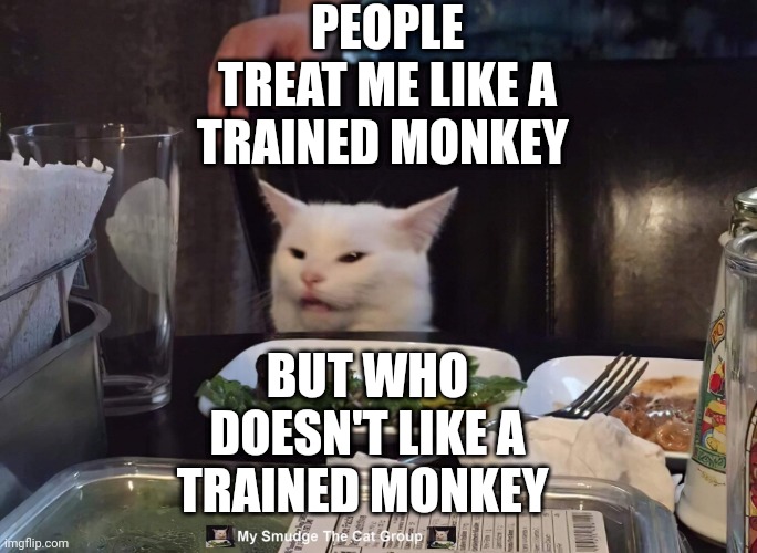 PEOPLE TREAT ME LIKE A TRAINED MONKEY; BUT WHO DOESN'T LIKE A TRAINED MONKEY | image tagged in smudge the cat | made w/ Imgflip meme maker