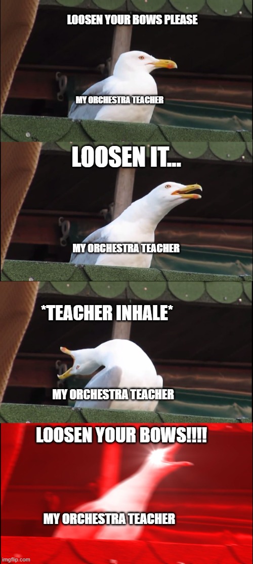 EVEN MORE School Memes | LOOSEN YOUR BOWS PLEASE; MY ORCHESTRA TEACHER; LOOSEN IT... MY ORCHESTRA TEACHER; *TEACHER INHALE*; MY ORCHESTRA TEACHER; LOOSEN YOUR BOWS!!!! MY ORCHESTRA TEACHER | image tagged in memes,inhaling seagull | made w/ Imgflip meme maker