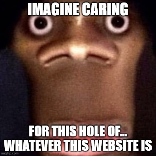 Bruh | IMAGINE CARING; FOR THIS HOLE OF... WHATEVER THIS WEBSITE IS | image tagged in bruh | made w/ Imgflip meme maker