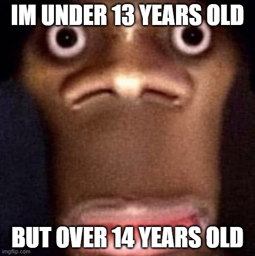 Bruh | IM UNDER 13 YEARS OLD; BUT OVER 14 YEARS OLD | image tagged in bruh | made w/ Imgflip meme maker