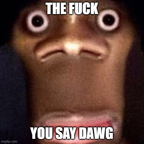 Bruh | THE FUCK YOU SAY DAWG | image tagged in bruh | made w/ Imgflip meme maker