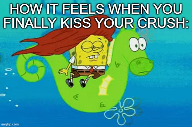 HOW IT FEELS WHEN YOU FINALLY KISS YOUR CRUSH: | image tagged in crush | made w/ Imgflip meme maker