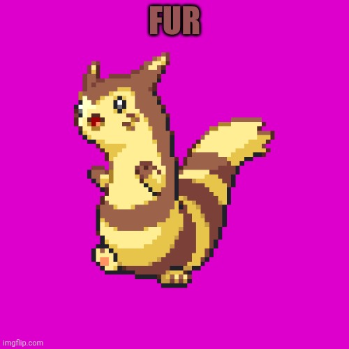 Fur | FUR | image tagged in furret | made w/ Imgflip meme maker