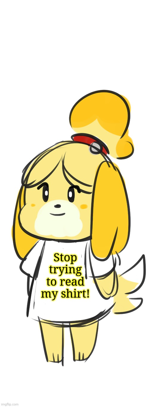 Isabelle | Stop trying to read my shirt! | image tagged in isabelle,animal crossing | made w/ Imgflip meme maker