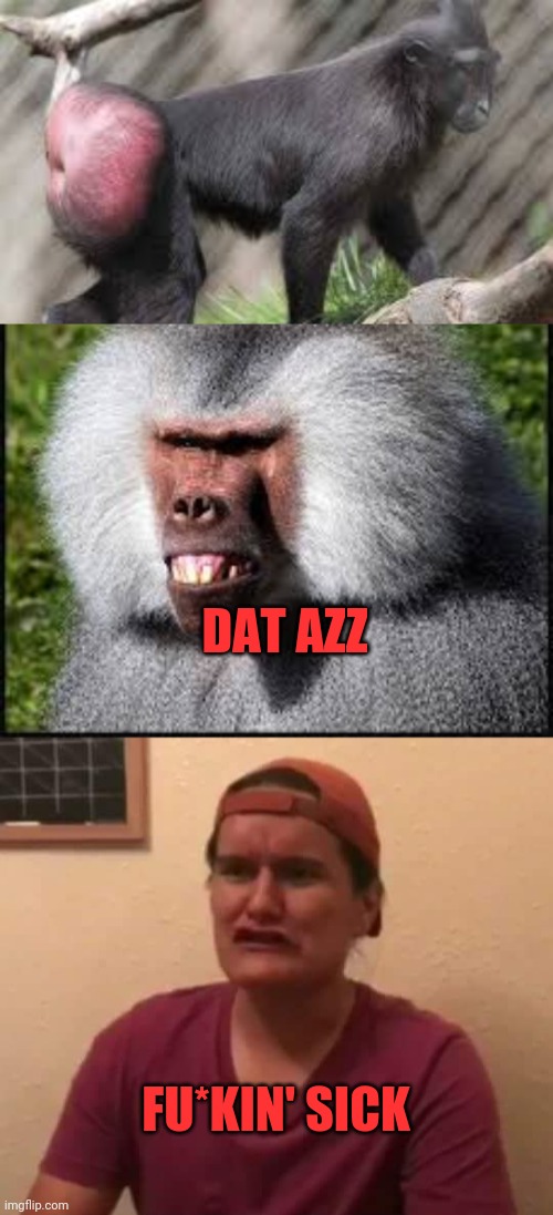 Dat azz | DAT AZZ; FU*KIN' SICK | image tagged in f ckin' sick,monkeys,monke,monkey business,ape shyt,pooping | made w/ Imgflip meme maker
