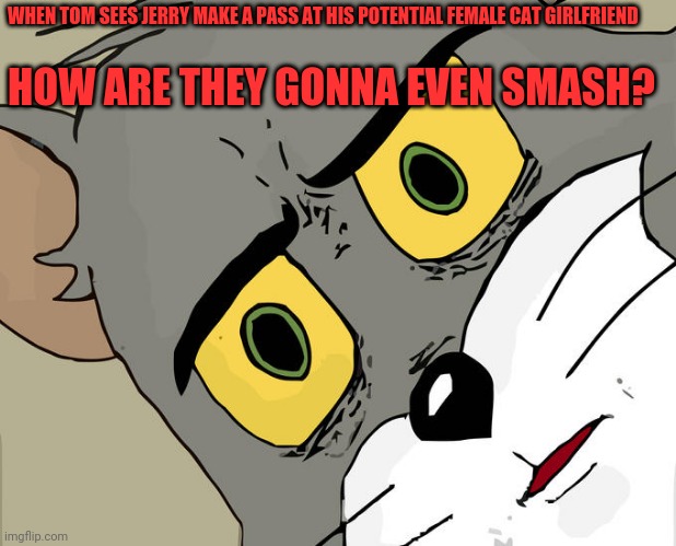 Snash | WHEN TOM SEES JERRY MAKE A PASS AT HIS POTENTIAL FEMALE CAT GIRLFRIEND; HOW ARE THEY GONNA EVEN SMASH? | image tagged in memes,unsettled tom,smash,troll smasher,jerry garcia,hunt for red october | made w/ Imgflip meme maker