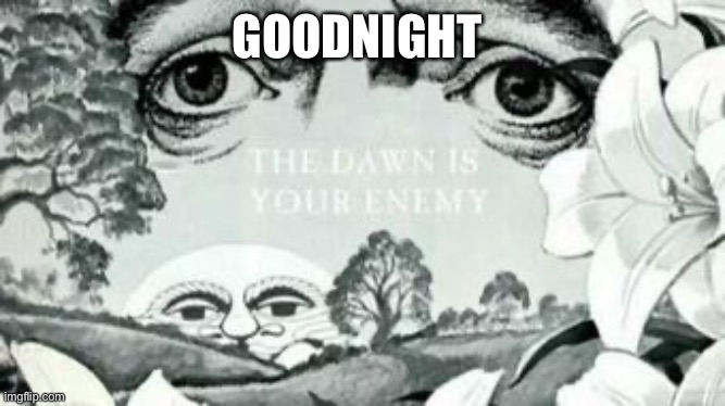The Dawn is your enemy | GOODNIGHT | image tagged in the dawn is your enemy | made w/ Imgflip meme maker