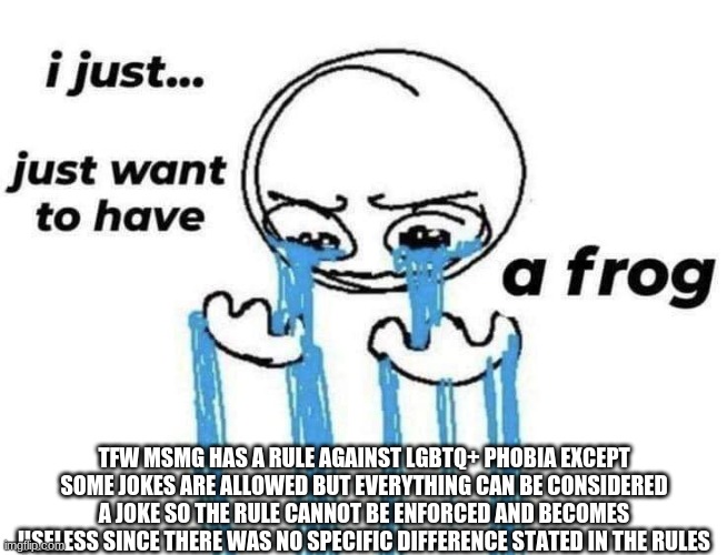 i just want to have a frog | TFW MSMG HAS A RULE AGAINST LGBTQ+ PHOBIA EXCEPT SOME JOKES ARE ALLOWED BUT EVERYTHING CAN BE CONSIDERED A JOKE SO THE RULE CANNOT BE ENFORCED AND BECOMES USELESS SINCE THERE WAS NO SPECIFIC DIFFERENCE STATED IN THE RULES | image tagged in i just want to have a frog | made w/ Imgflip meme maker