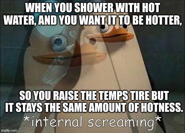 Relate? | WHEN YOU SHOWER WITH HOT WATER, AND YOU WANT IT TO BE HOTTER, SO YOU RAISE THE TEMPS TIRE BUT IT STAYS THE SAME AMOUNT OF HOTNESS. | image tagged in private internal screaming,oh wow are you actually reading these tags,stop reading the tags | made w/ Imgflip meme maker