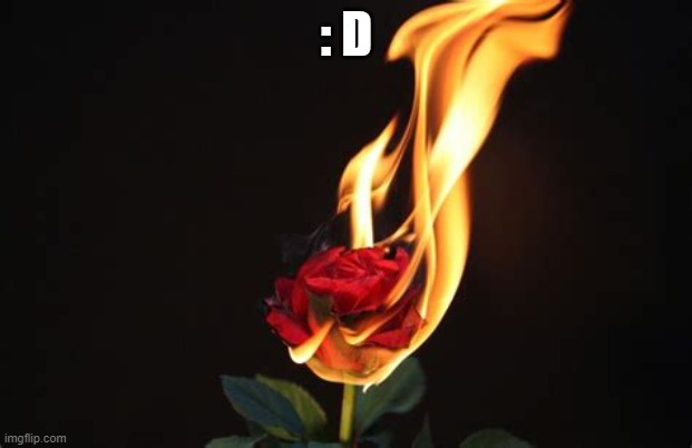 : D | made w/ Imgflip meme maker