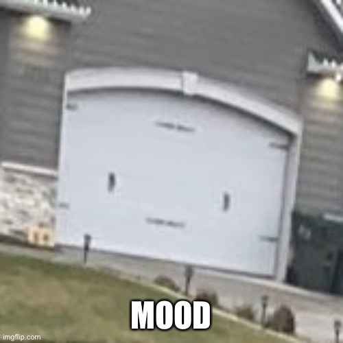 Garage door face |  MOOD | image tagged in garage door face | made w/ Imgflip meme maker