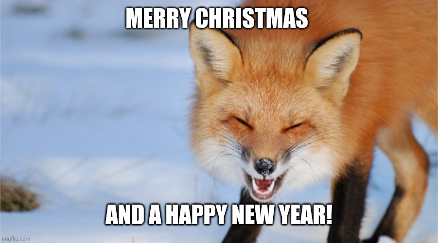 Happy fox | MERRY CHRISTMAS; AND A HAPPY NEW YEAR! | image tagged in happy fox | made w/ Imgflip meme maker