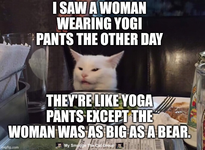 I SAW A WOMAN WEARING YOGI PANTS THE OTHER DAY; THEY'RE LIKE YOGA PANTS EXCEPT THE WOMAN WAS AS BIG AS A BEAR. | image tagged in smudge the cat | made w/ Imgflip meme maker