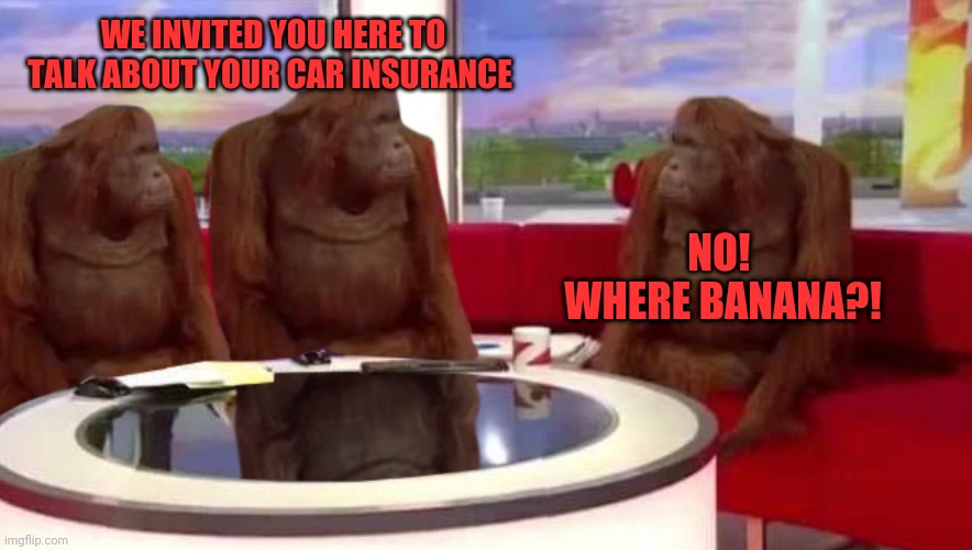 Where-! | WE INVITED YOU HERE TO TALK ABOUT YOUR CAR INSURANCE; NO!  WHERE BANANA?! | image tagged in where monkey,banana power,orangutan,donald trump is an orangutan,i am smort | made w/ Imgflip meme maker