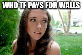 sexy girl | WHO TF PAYS FOR WALLS | image tagged in sexy girl | made w/ Imgflip meme maker