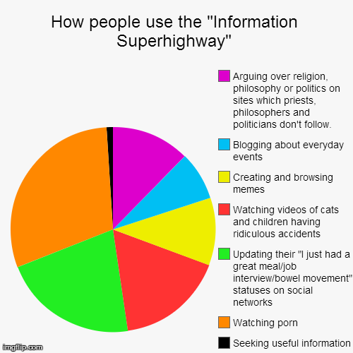 How the internet is really used | image tagged in funny,pie charts,internet,information superhighway,fun facts | made w/ Imgflip chart maker