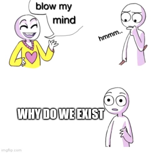 Yes | WHY DO WE EXIST | image tagged in blow my mind | made w/ Imgflip meme maker