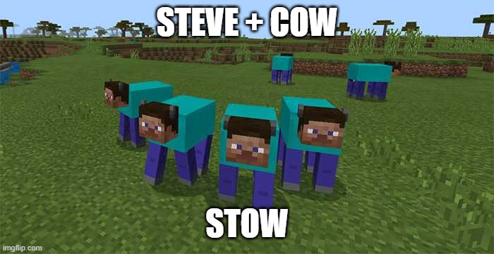 me and the boys | STEVE + COW; STOW | image tagged in me and the boys | made w/ Imgflip meme maker
