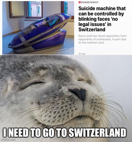 I NEED TO GO TO SWITZERLAND | image tagged in memes,satisfied seal | made w/ Imgflip meme maker