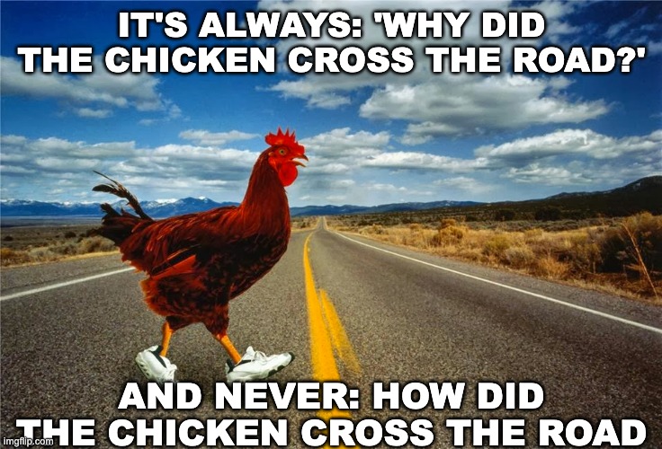 This says a lot about society? | IT'S ALWAYS: 'WHY DID THE CHICKEN CROSS THE ROAD?'; AND NEVER: HOW DID THE CHICKEN CROSS THE ROAD | image tagged in memes,unfunny,why did the chicken cross the road | made w/ Imgflip meme maker