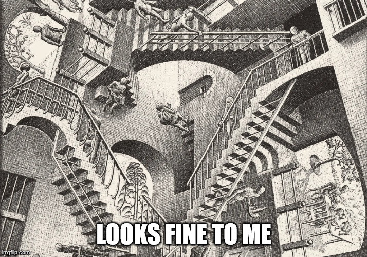 escher | LOOKS FINE TO ME | image tagged in escher | made w/ Imgflip meme maker