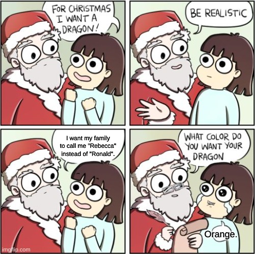 For Christmas I Want a Dragon | I want my family to call me "Rebecca" instead of "Ronald". Orange. | image tagged in for christmas i want a dragon,transgender | made w/ Imgflip meme maker