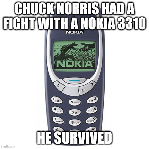 Barely... | CHUCK NORRIS HAD A FIGHT WITH A NOKIA 3310; HE SURVIVED | image tagged in nokia 3310,chuck norris | made w/ Imgflip meme maker