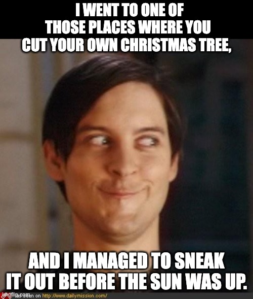 Tree | I WENT TO ONE OF THOSE PLACES WHERE YOU CUT YOUR OWN CHRISTMAS TREE, AND I MANAGED TO SNEAK IT OUT BEFORE THE SUN WAS UP. | image tagged in that look you give your friend | made w/ Imgflip meme maker