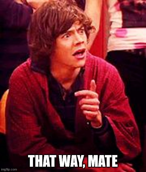 Shocked One Direction | THAT WAY, MATE | image tagged in shocked one direction | made w/ Imgflip meme maker