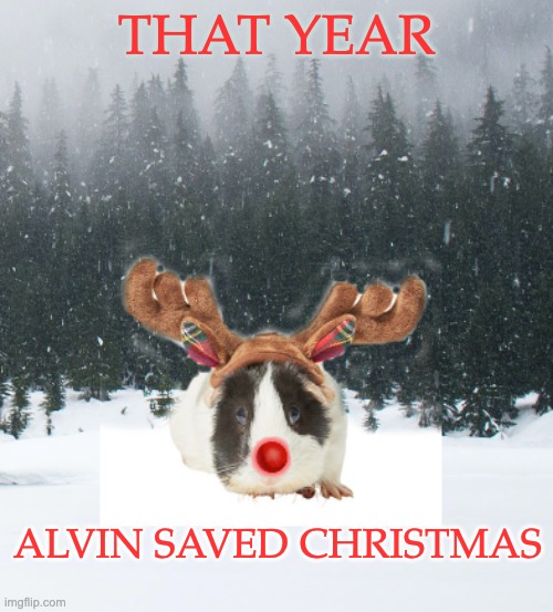 Red-nosed guinea pig | THAT YEAR; ALVIN SAVED CHRISTMAS | image tagged in guinea pig rudolf,rudolf,cute,guinea pig | made w/ Imgflip meme maker