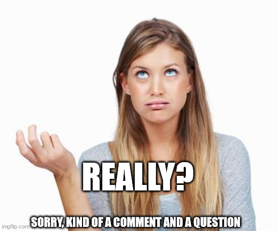 confusedchick | SORRY, KIND OF A COMMENT AND A QUESTION REALLY? | image tagged in confusedchick | made w/ Imgflip meme maker