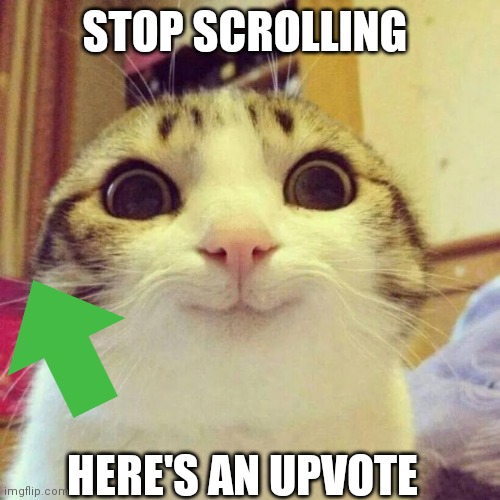 Stop scrolling, here's an downvote | STOP SCROLLING; HERE'S AN UPVOTE | image tagged in memes,smiling cat,stop scrolling,here is an upvote | made w/ Imgflip meme maker