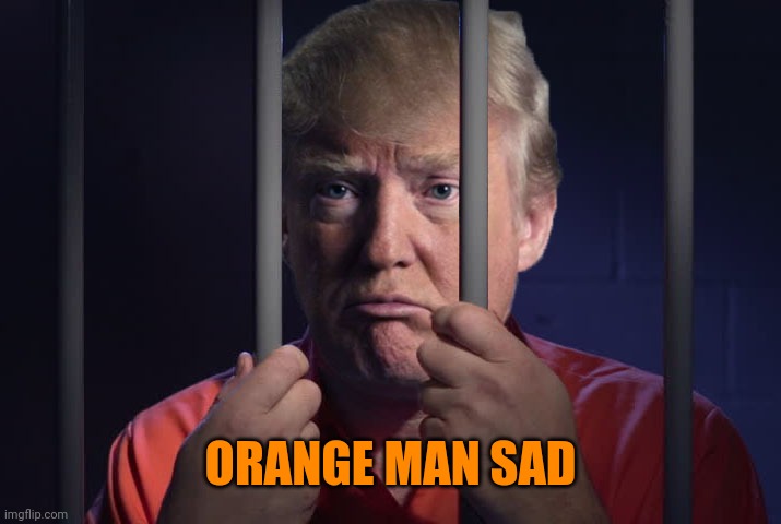 Only gets 1 diaper per day in the joint | ORANGE MAN SAD | image tagged in sad trump | made w/ Imgflip meme maker