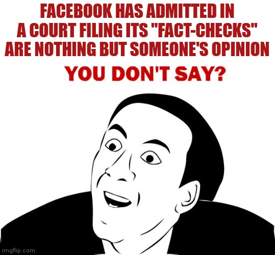You Don't Say |  FACEBOOK HAS ADMITTED IN A COURT FILING ITS "FACT-CHECKS" ARE NOTHING BUT SOMEONE'S OPINION | image tagged in memes,you don't say | made w/ Imgflip meme maker