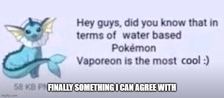 at last! | FINALLY SOMETHING I CAN AGREE WITH | image tagged in vaporeon | made w/ Imgflip meme maker