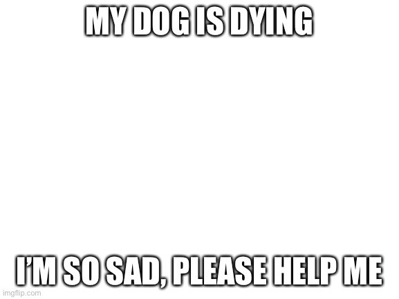 I’m crying so hard | MY DOG IS DYING; I’M SO SAD, PLEASE HELP ME | image tagged in blank white template | made w/ Imgflip meme maker