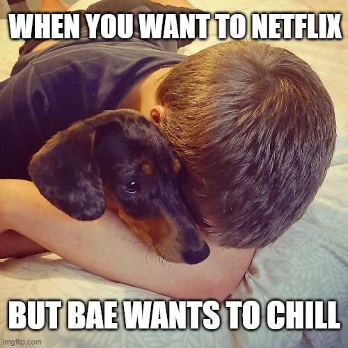 Netflix and chill | WHEN YOU WANT TO NETFLIX; BUT BAE WANTS TO CHILL | image tagged in netflix and chill | made w/ Imgflip meme maker