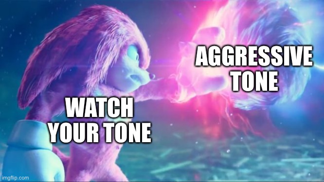 Watch your tone | AGGRESSIVE TONE; WATCH YOUR TONE | image tagged in sonic the hedgehog,knuckles,ugandan knuckles,sonic movie,sonic vs knuckles | made w/ Imgflip meme maker