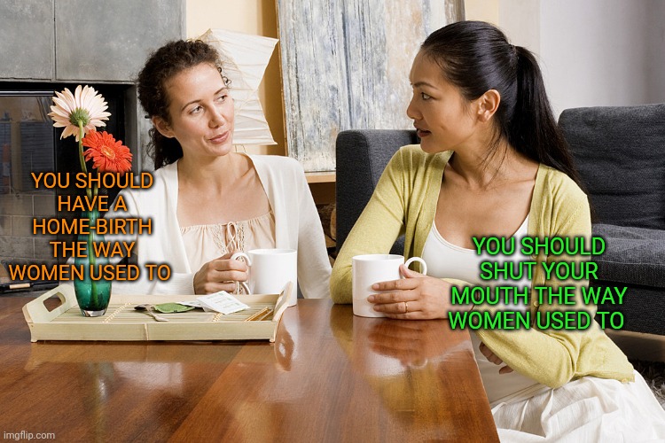 Women Talking Over Coffee | YOU SHOULD HAVE A HOME-BIRTH THE WAY WOMEN USED TO; YOU SHOULD SHUT YOUR MOUTH THE WAY WOMEN USED TO | image tagged in women talking over coffee,funny memes | made w/ Imgflip meme maker