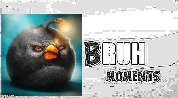 Bruh Moments | image tagged in bruh moments | made w/ Imgflip meme maker