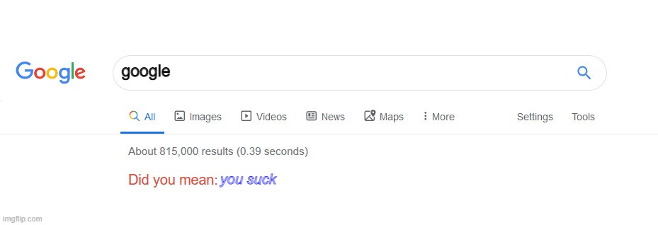 google does not suck and i dont suck | google; you suck | image tagged in did you mean | made w/ Imgflip meme maker