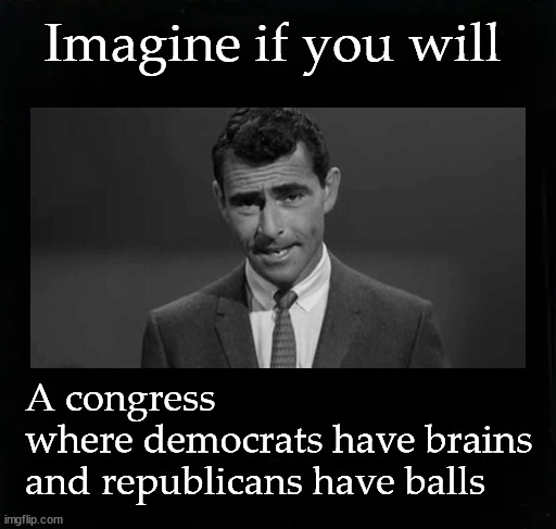 Imagine if you will, a new congress | Imagine if you will; A congress 
where democrats have brains 
and republicans have balls | image tagged in rod serling imagine if you will | made w/ Imgflip meme maker