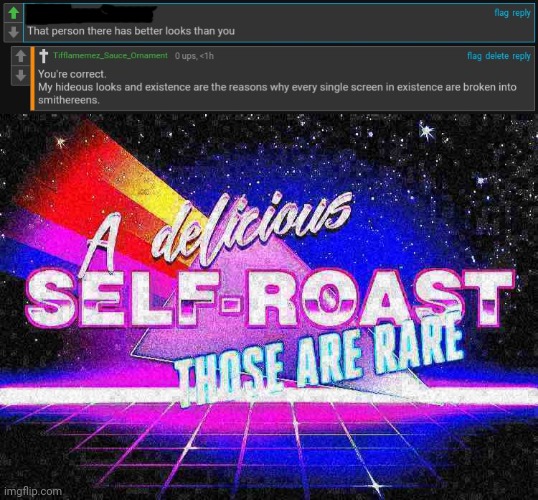 Another self-roast | image tagged in a delicious self-roast those are rare deep-fried,roasted,roasts,roast,memes,ooh self-burn those are rare | made w/ Imgflip meme maker
